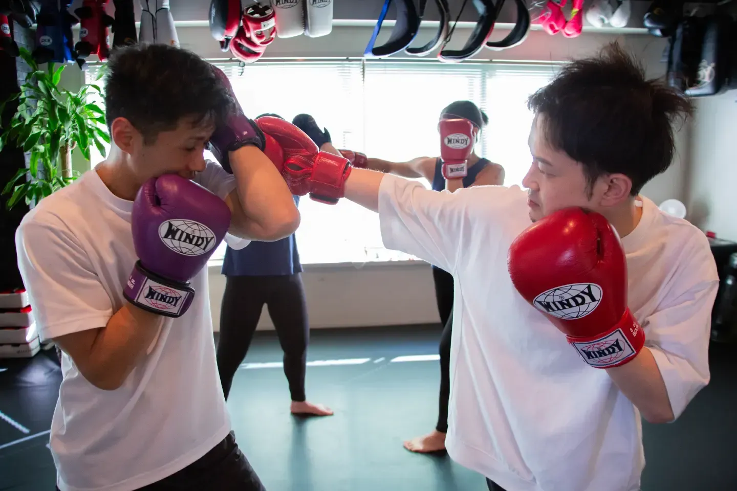 【グループレッスン】マスクラス　キックボクシング　（強度★5／難易度★5）（60分）